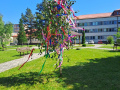 29-stavanie-mája-2024