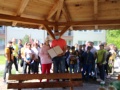 15-ŠZŠI
